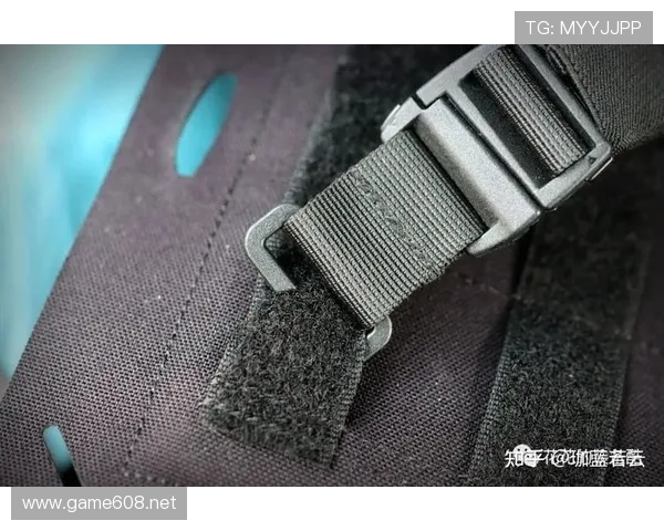 拉菲尼亚数据波动背后的战术角色与状态稳定性分析