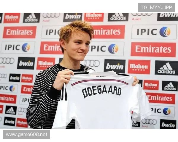 厄德高个人表现与团队成绩的生涯评估